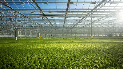 Sikkerhedshåndbog for Gartnerier og planteskoler